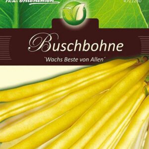 Aeduba-Wasch-Beste-von-Allen-ERF