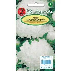 Aster-pojeng-valge-1g