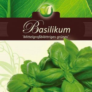Basiilik-Mittelgrossbl-gruenes-ERF