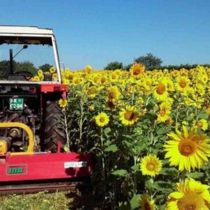 ELITE-L-hooldusniiduk-1