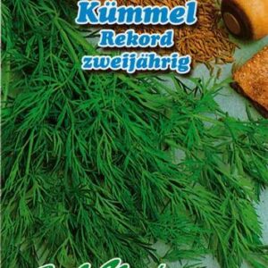 Harilik-koeoemen-Rekord