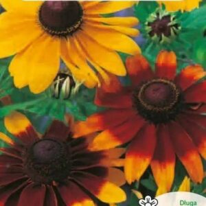 Karvane-paeevakuebar-segu-1g