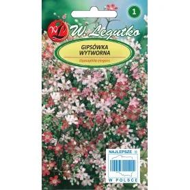 Kaunis-kipslill-segu-1g