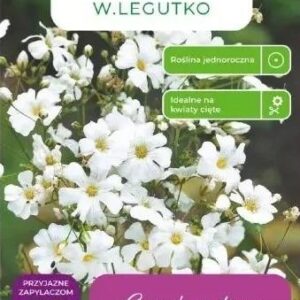 Kaunis-kipslill-valge-1g