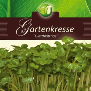 Kress-salat-Glattblaettrige-ERF