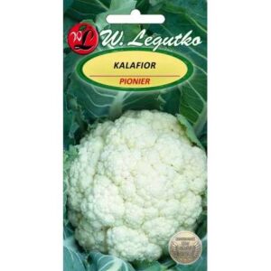 Lillkapsas-Pionier-1g