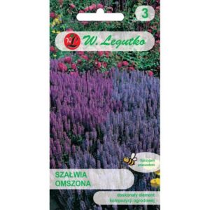 Metssalvei-violet-blue-01g