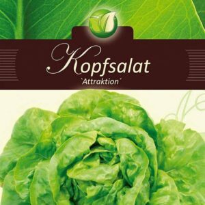 Peasalat-Attraktion-ERF