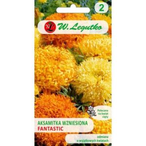 Peiulill-Fantastic-segu-04g