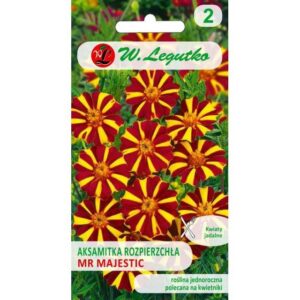 Peiulill-Mr-Majestetic-kuldkollane-mahagon-03g