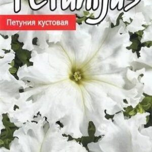 Petuunia-Aphrodite-H-15s