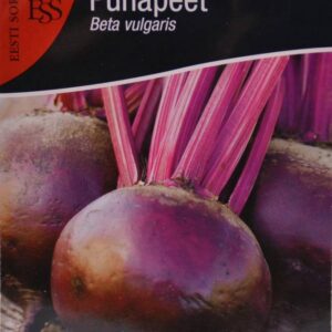 Punapeet-Bordo-237-5-g
