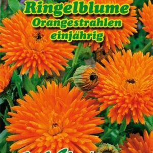 Saialill-Orangestrahlen