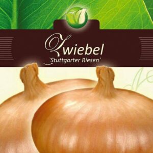 Sibul-Stuttgarter-Riesen-ERF