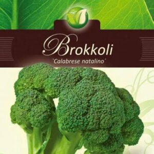 Spargelkapsas-Calabrese-natalino