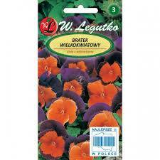 Voorasema-Orange-Violet-03g